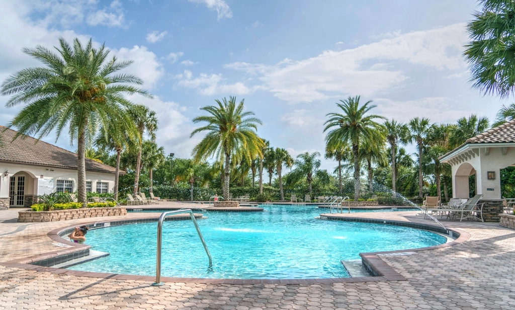 Tropical resort pool surrounded by palms