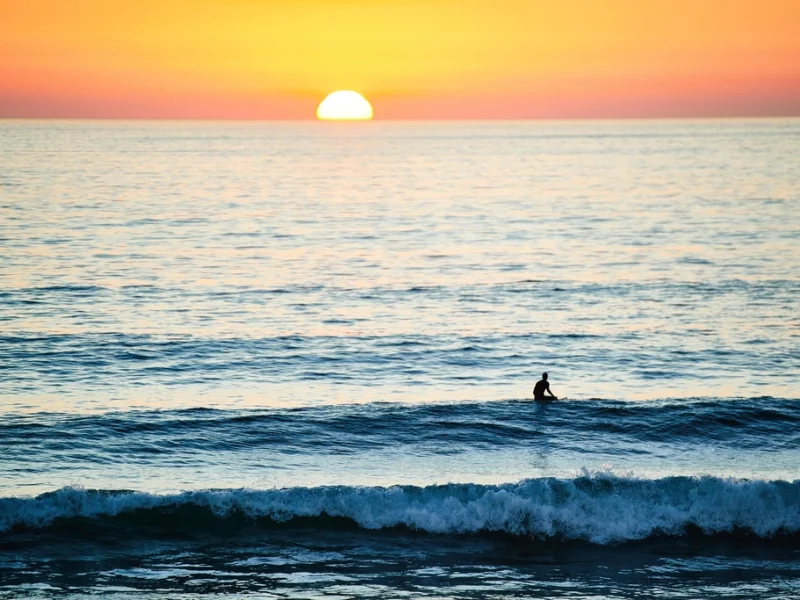 Surfer riding an ocean wave at sunset